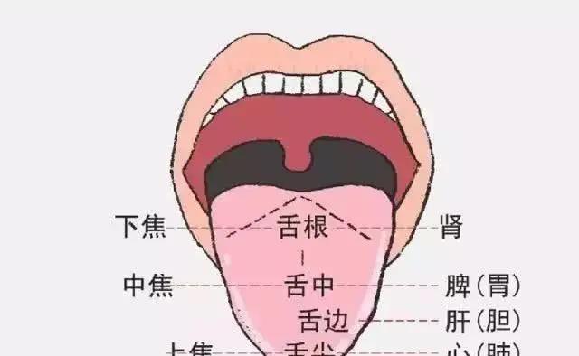 身體好不好，舌頭全知道