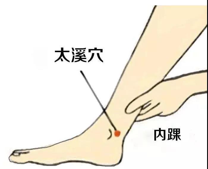 護腎養腎？這六大穴位就夠了！