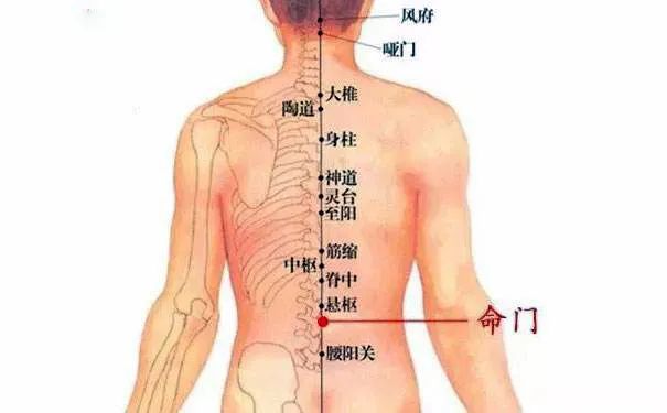 命門火衰影響人體生老病衰？命門穴有何神奇，竟決定生命的元陽盛衰？